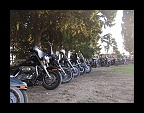 INDIAN BIKERS MC 2010 (138)